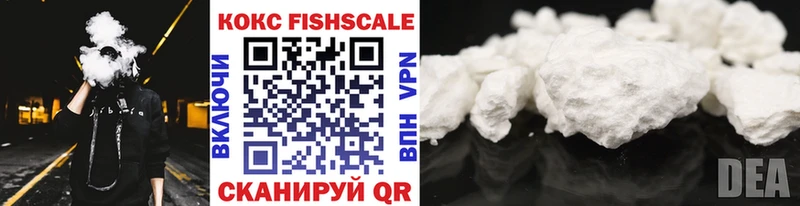 купить закладку  Краснослободск  COCAIN FishScale 