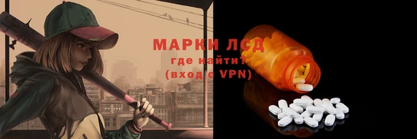 гашик Нефтекумск