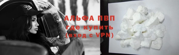 гашик Нефтекумск