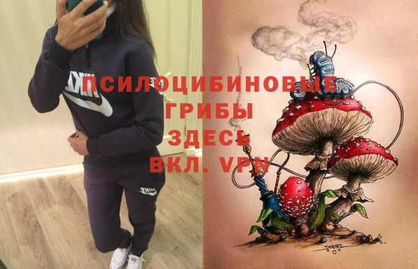прущие крисы Нефтегорск